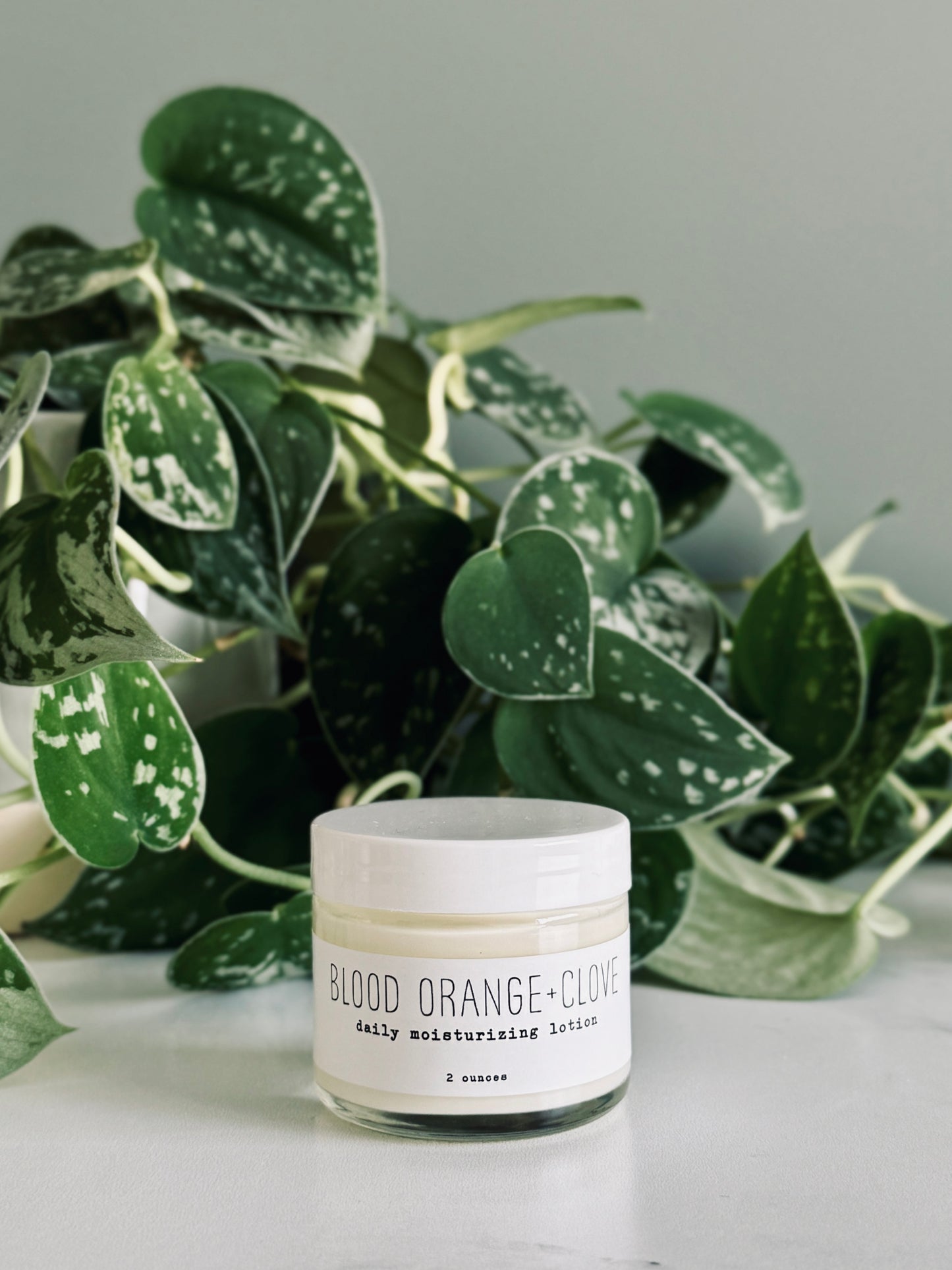 Daily Moisturizing Lotion - 2oz Winter Seasonal