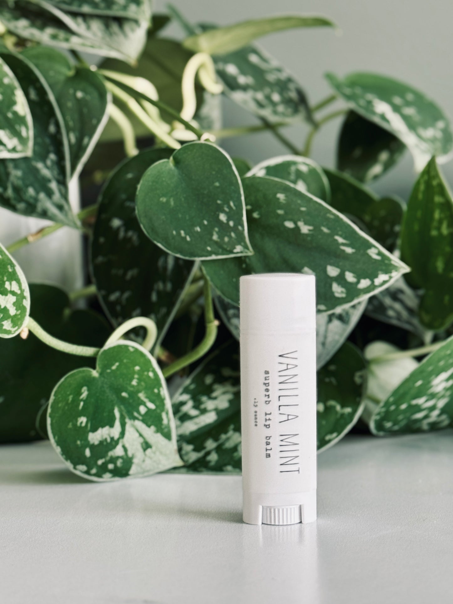 Vanilla Mint Lip Balm