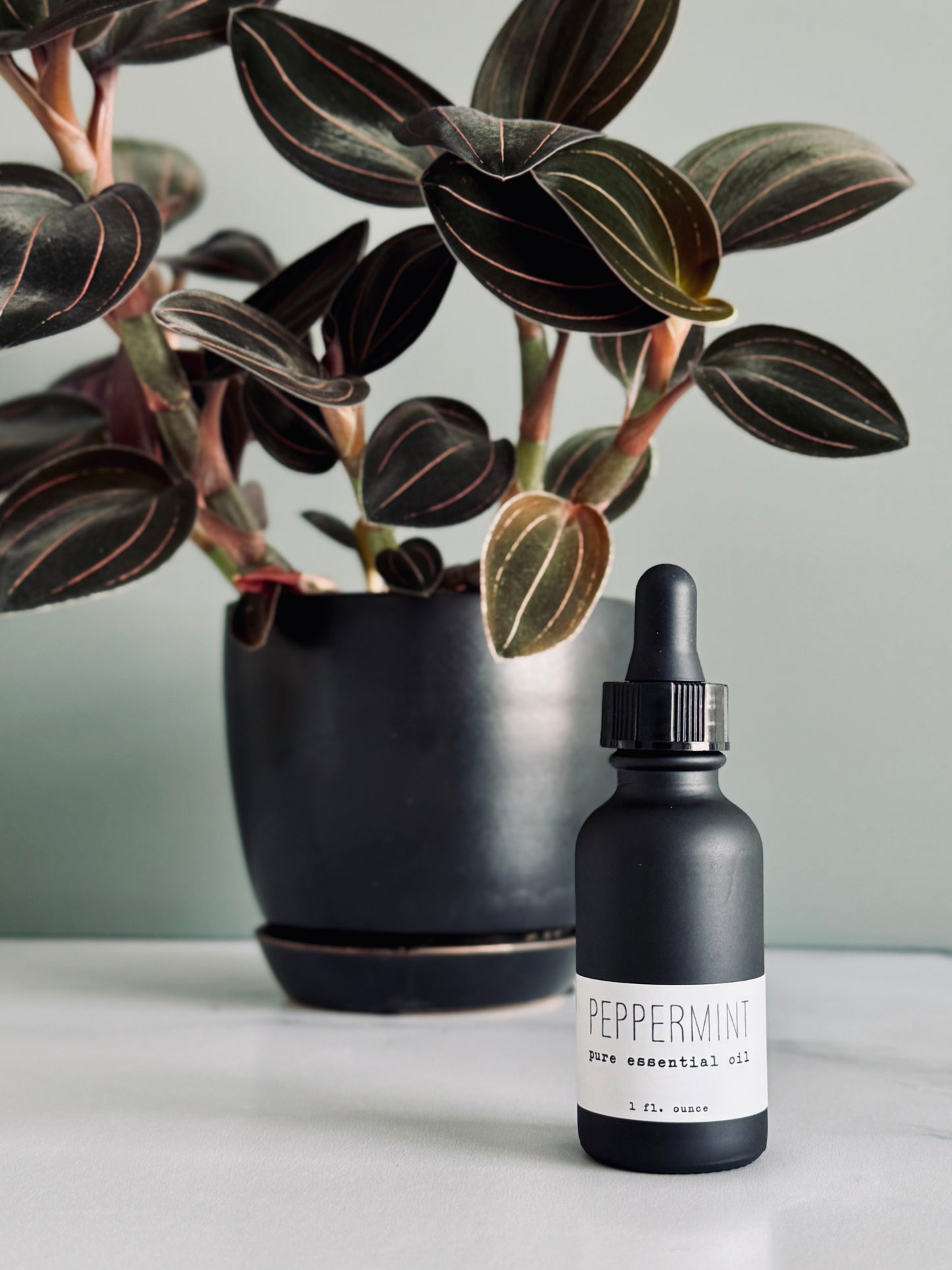 Pure Essential Oils - Seasonal
