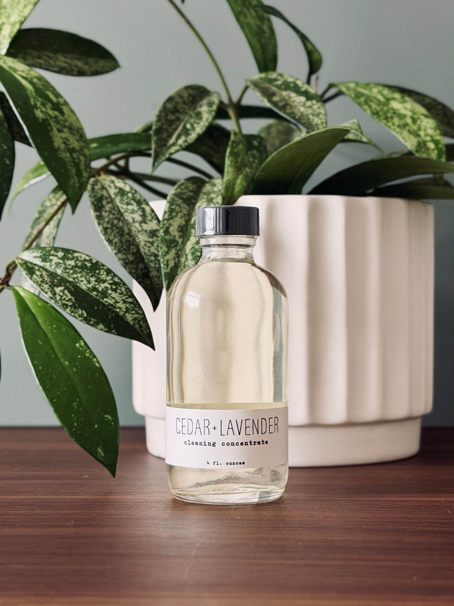 Cleaning Concentrate - Cedar + Lavender