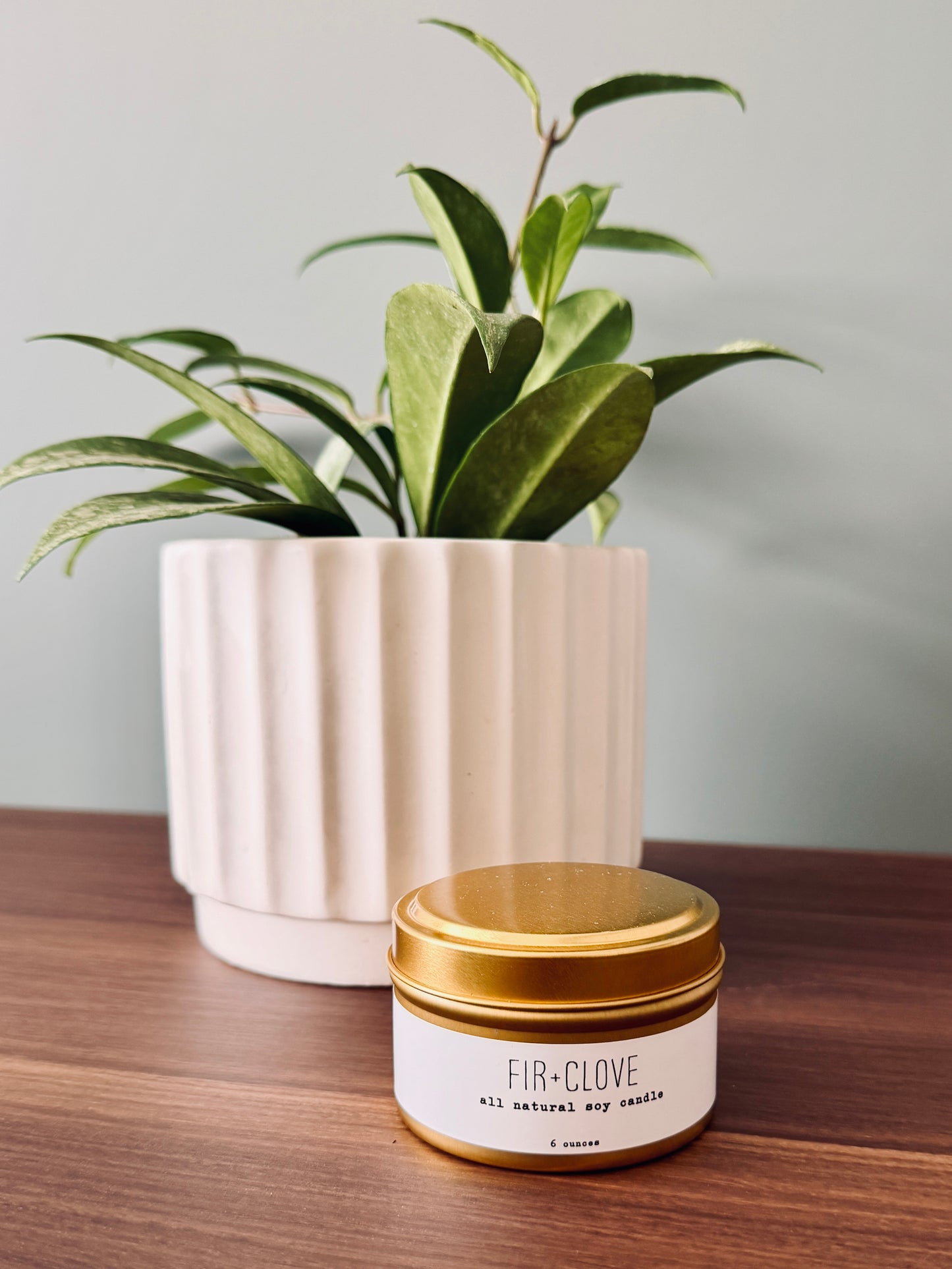 Fir & Clove 6oz Candle