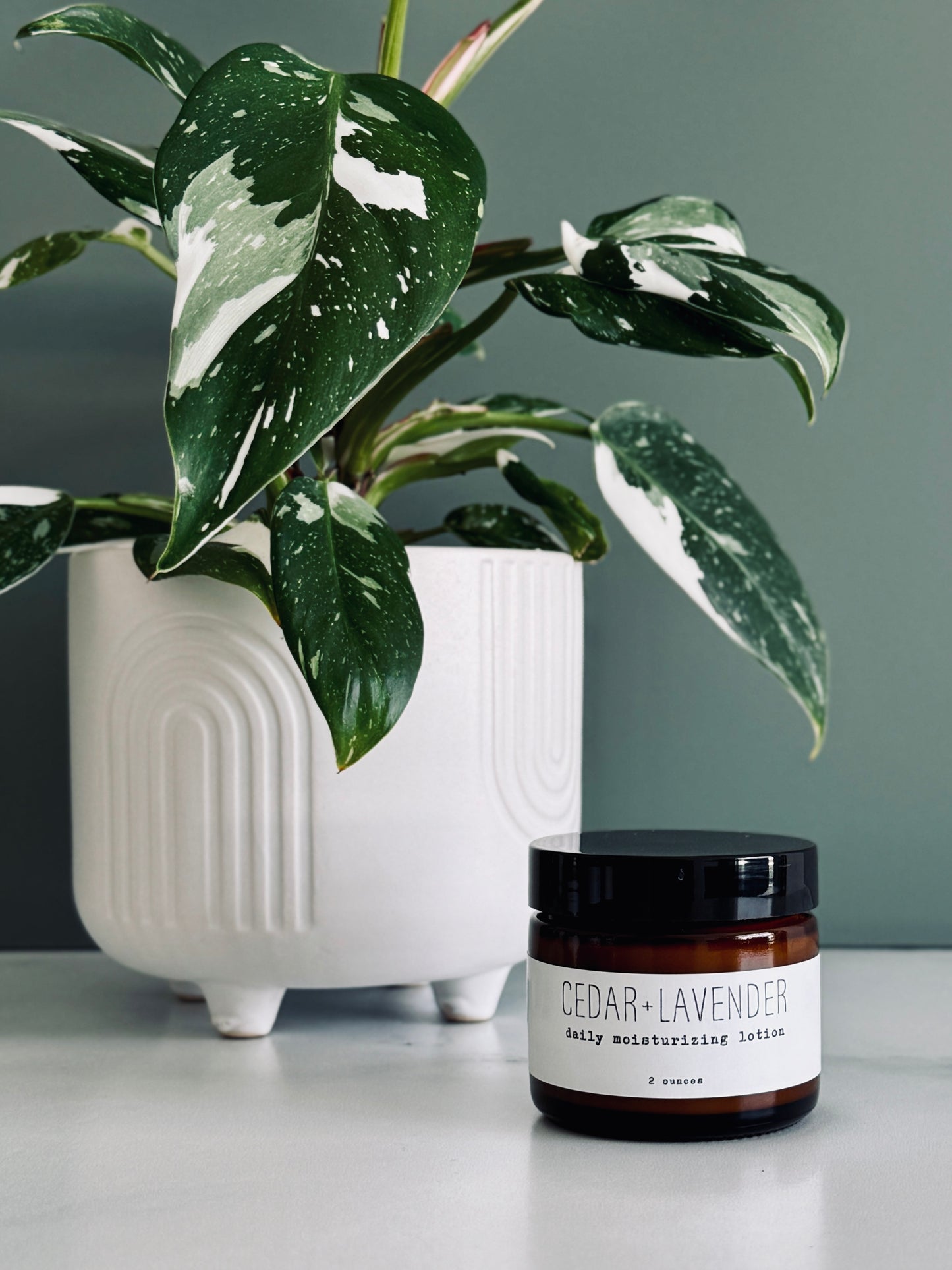 Daily Moisturizing Lotion - Seasonal