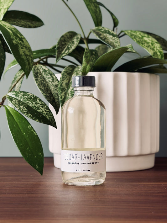 Cleaning Concentrate - Cedar + Lavender