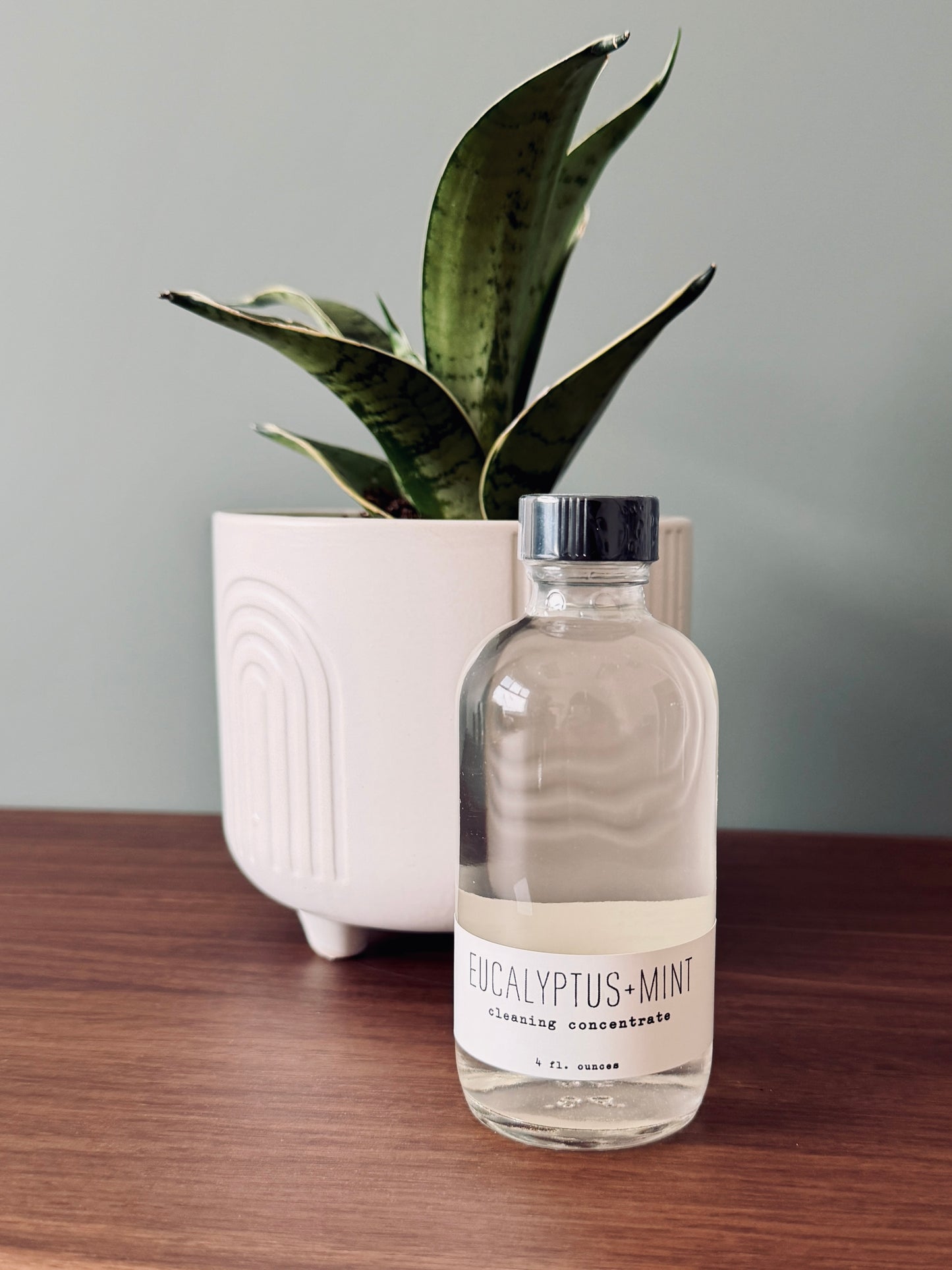Cleaning Concentrate - Eucalyptus + Mint