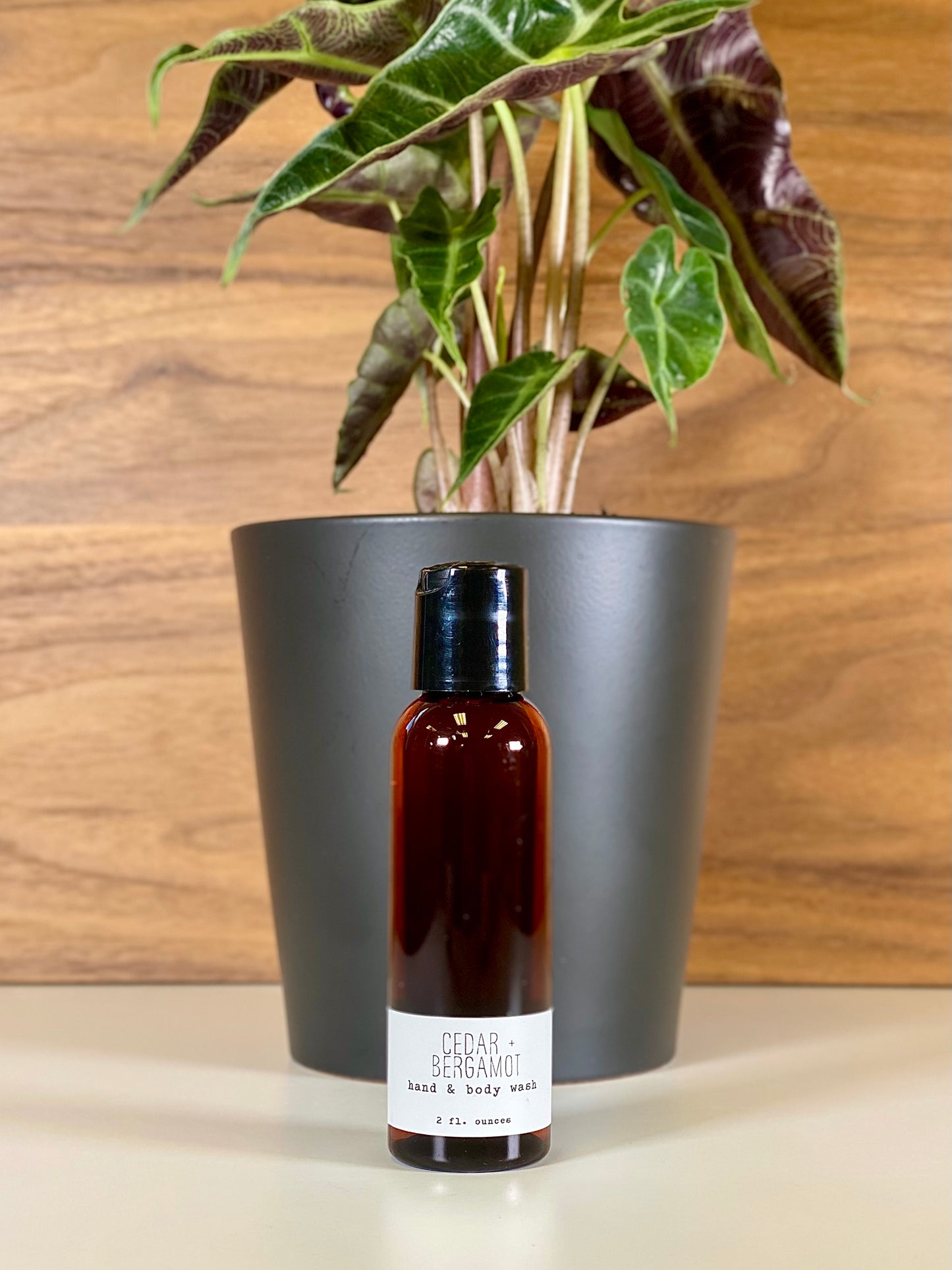 Hand & Body Wash - Woodsy